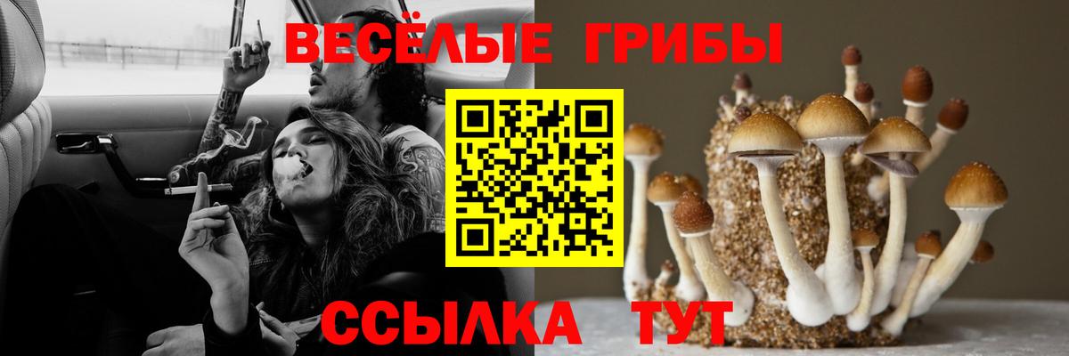 Анапа  цена наркотик  Вход с VPN  Псилоцибиновые грибы мицелий 